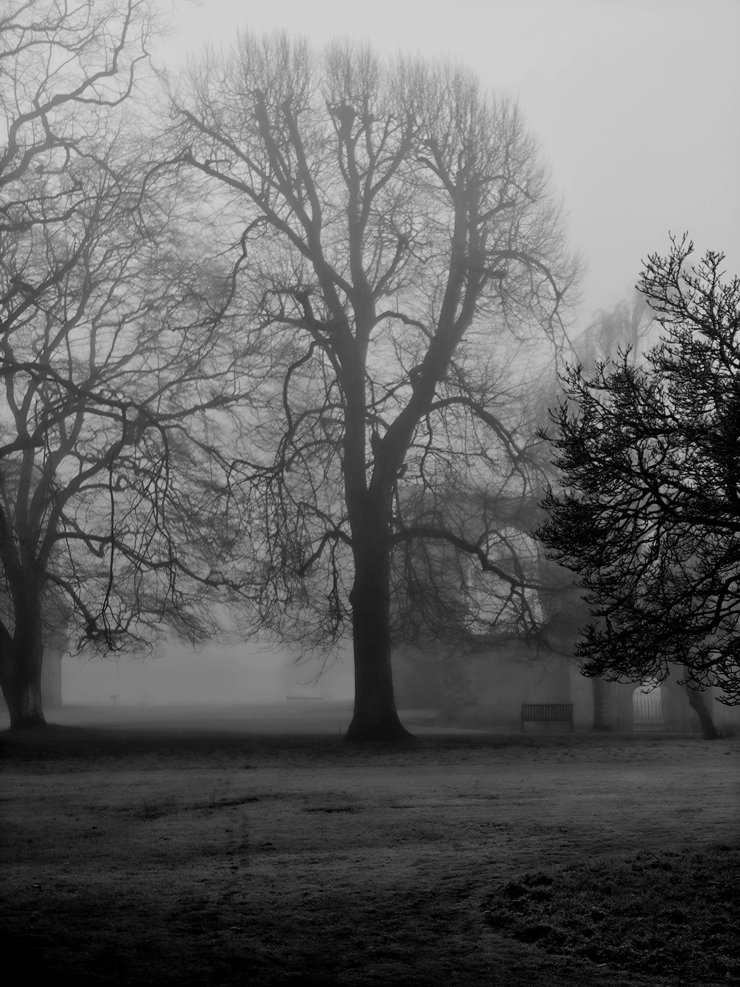 In the Mist 13 image