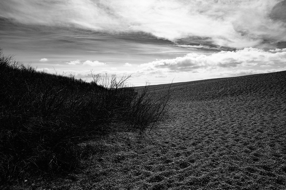 Chesil Beach 1 link image