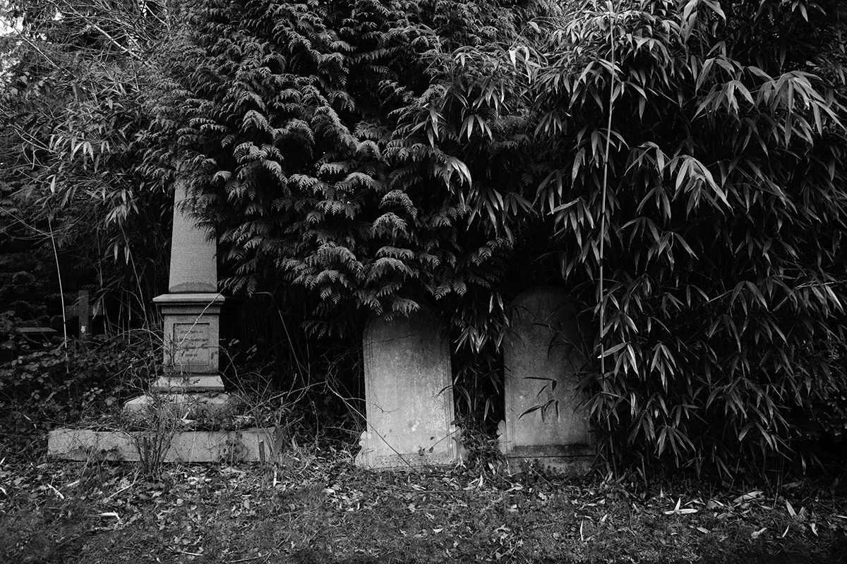 Cemetary - Norwich image