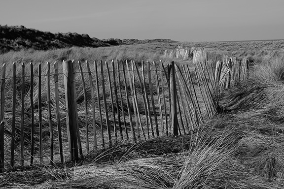 Fence - Winterton image