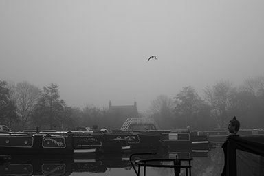 A Misty Morning link image