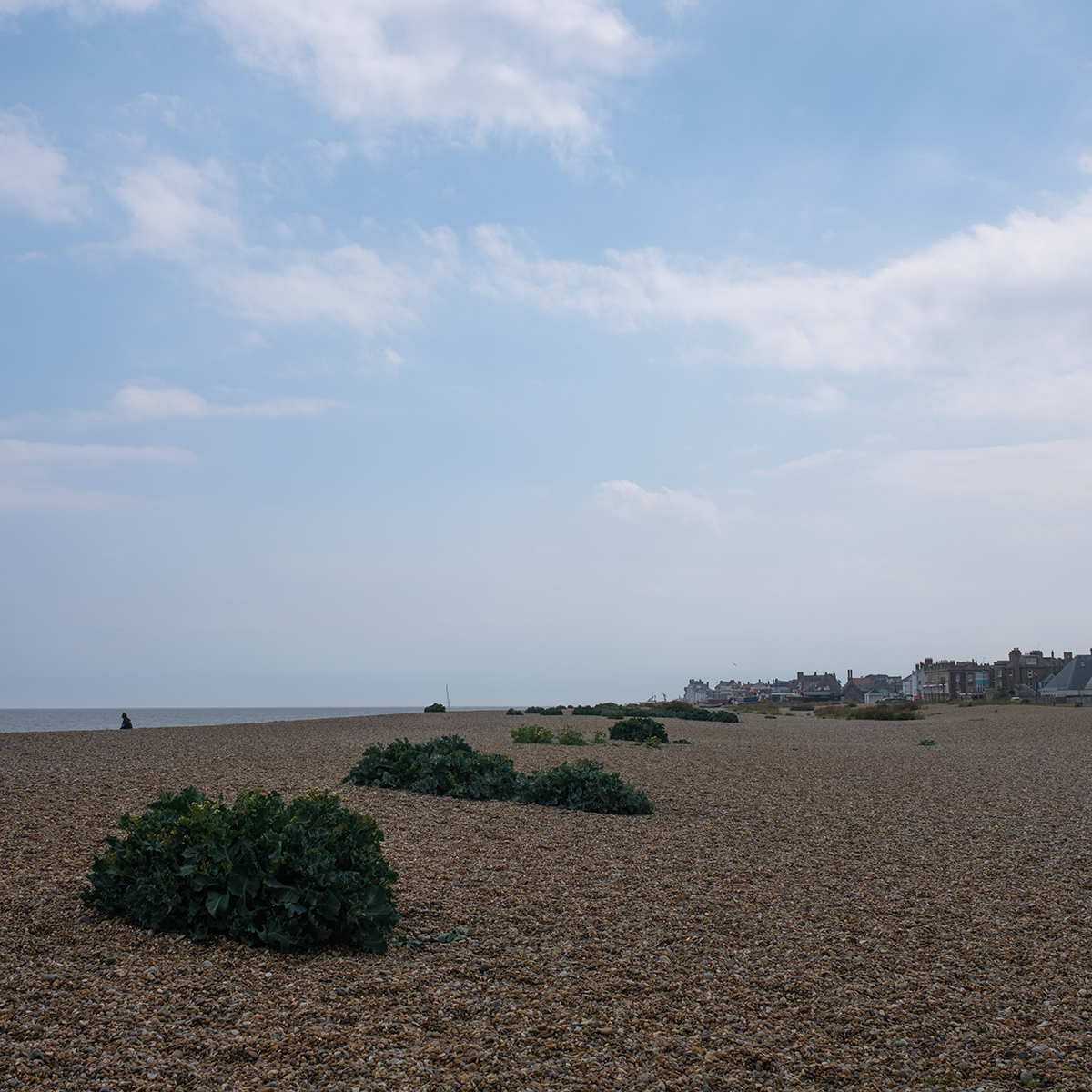 Aldeburgh Beach II 2022 link image