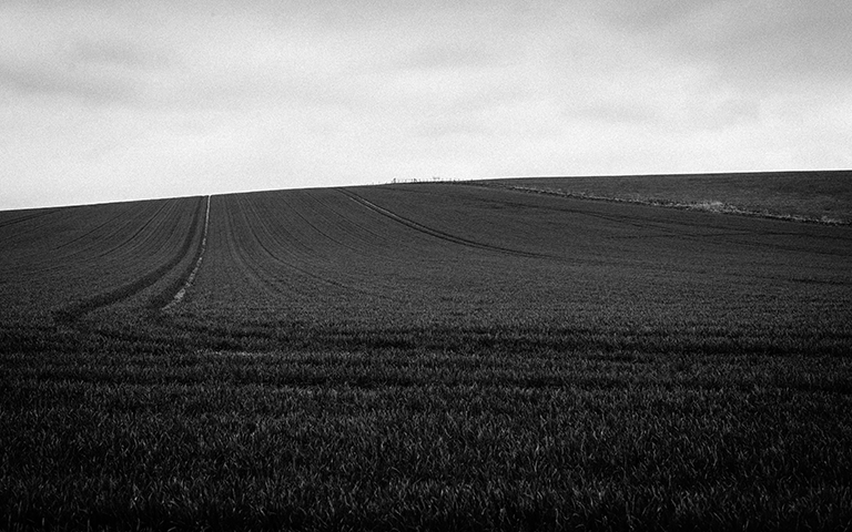 Avebury Field image