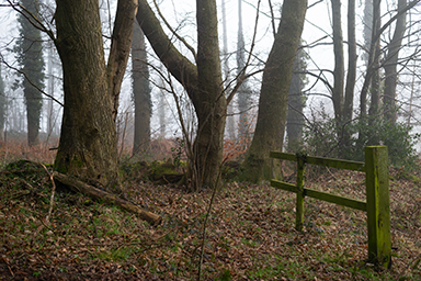 Broken Fence image