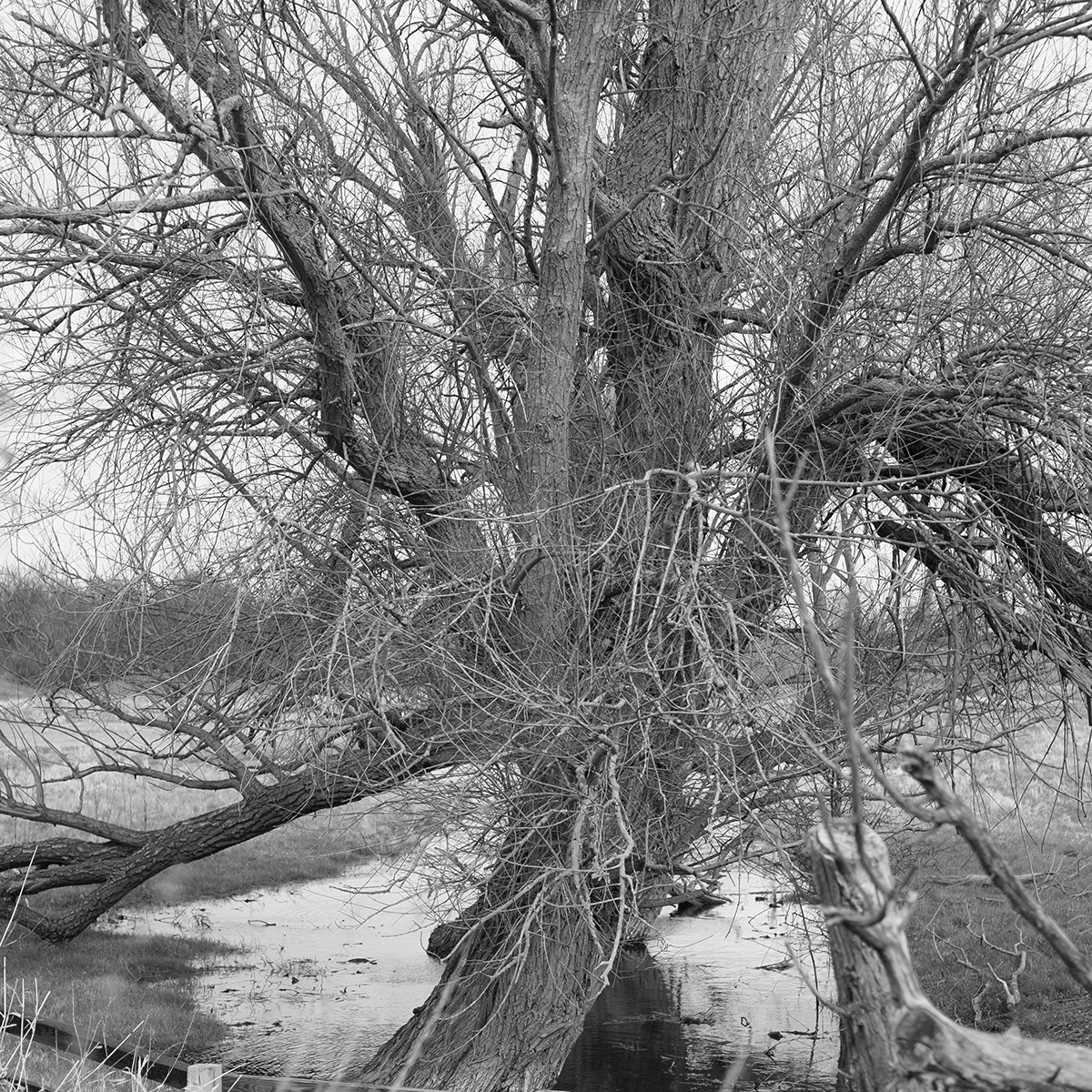 Earith Bridge link image