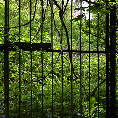Gate 2024 link image
