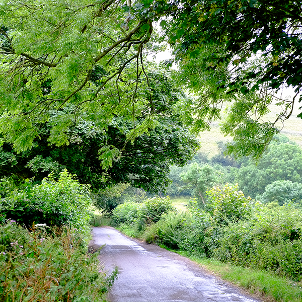 Lane 2023 link image