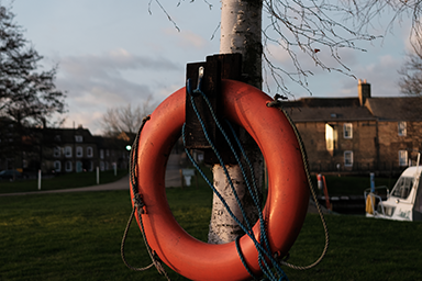 Life Ring and Tree 2022 link image