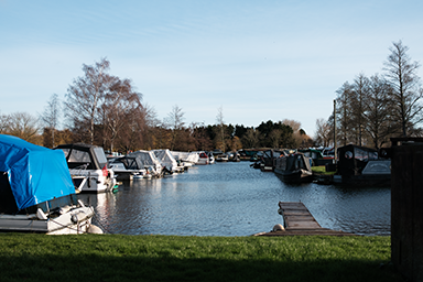 Marina 2022 link image