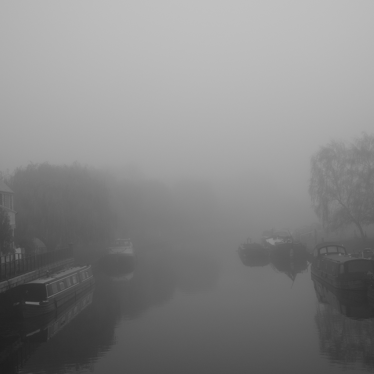 Mist in November - River link image