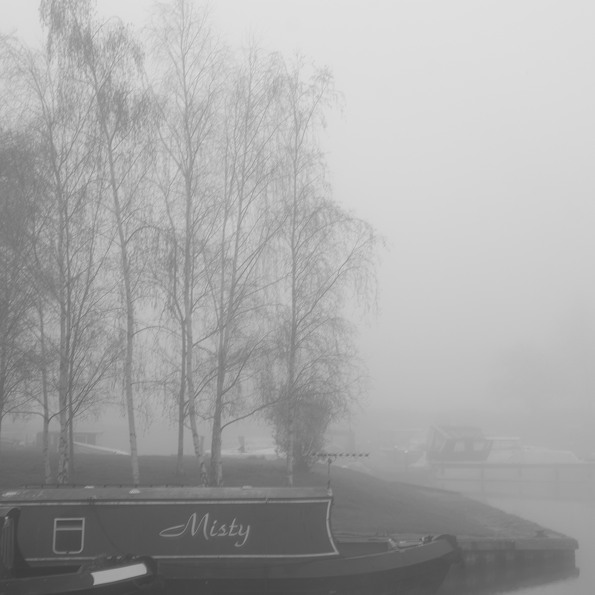 Mist - Misty link image