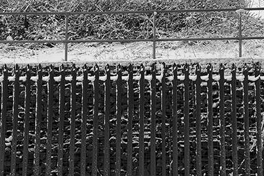 Fenced Off link image