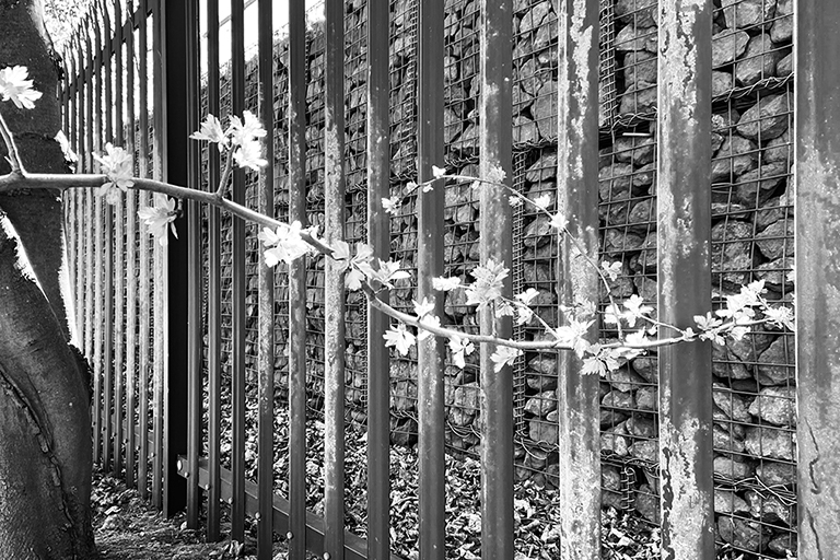 railwayFence_VII_BW image