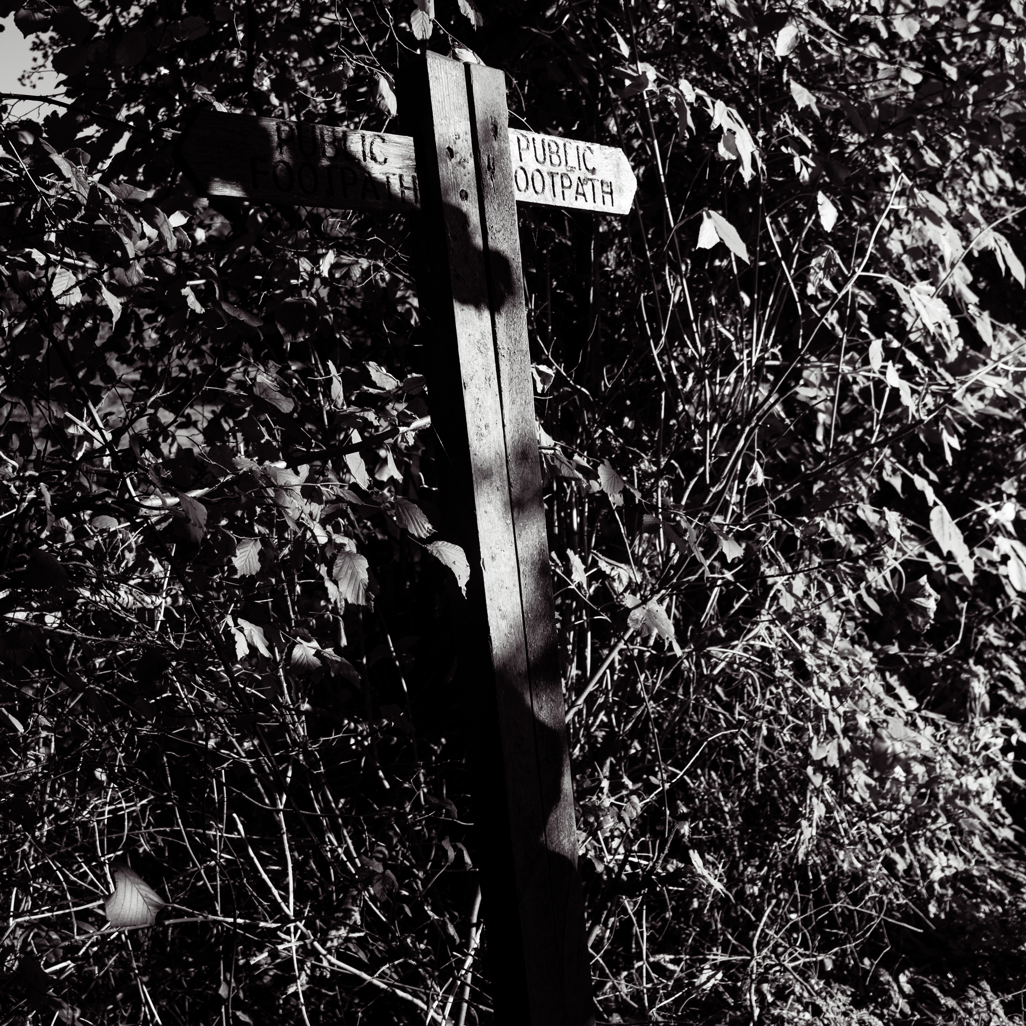 Sign - Tor Walk - Glastonbury link image