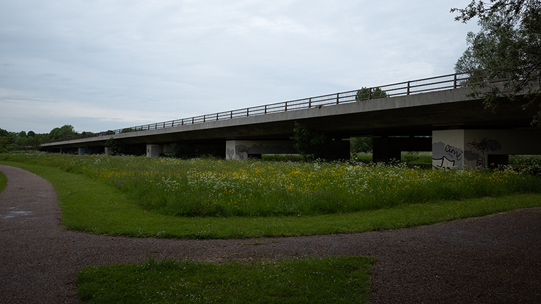 Stony Stratford Nature Reserve VII image