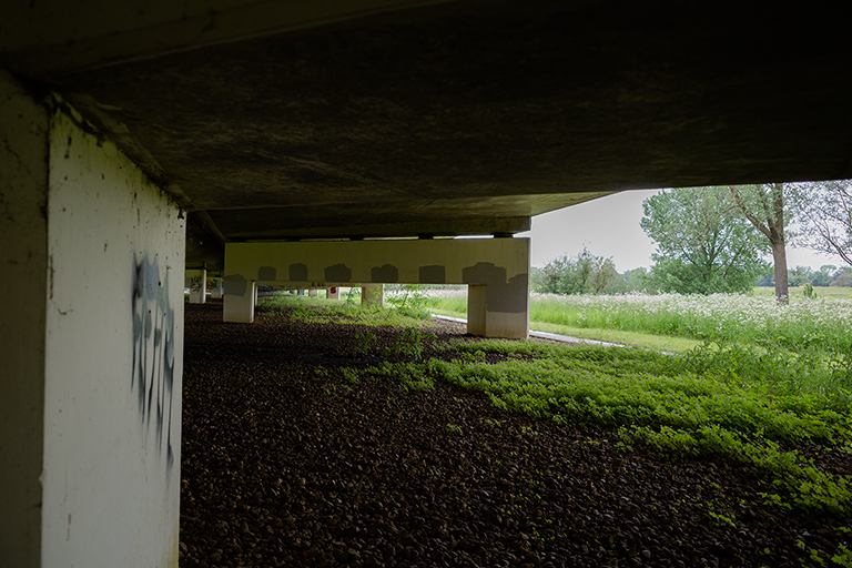 Stony Stratford Nature Reserve XX image