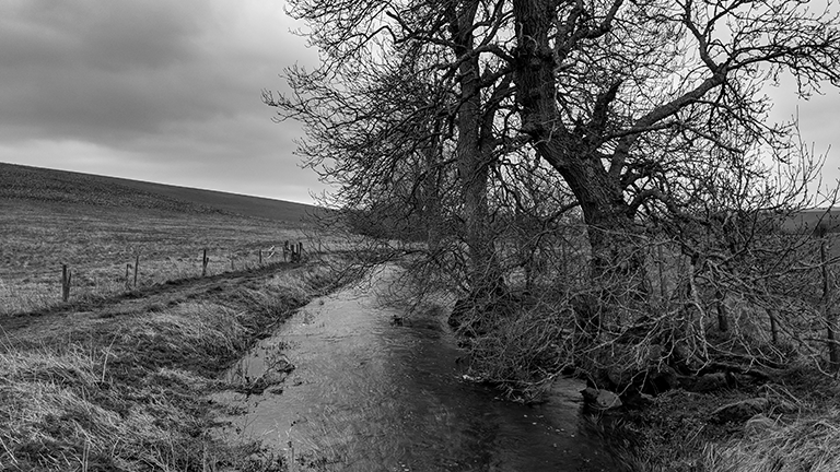 Stream at Silbury Hill image