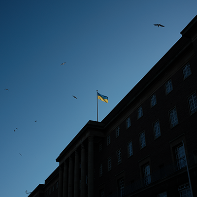 Ukraine Flag image
