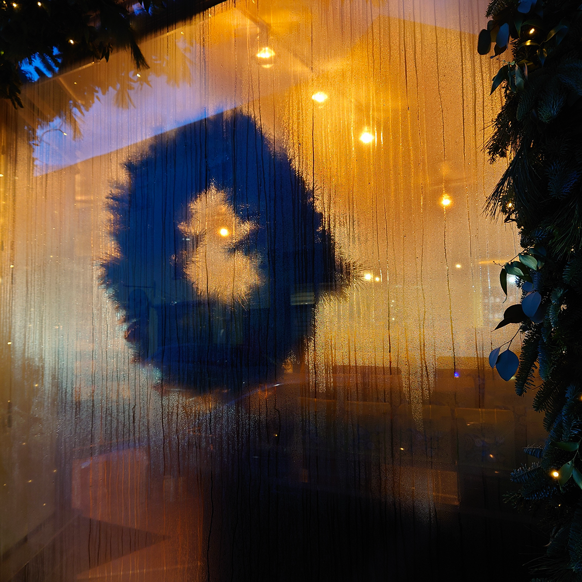 Wreath in Misted Window link image