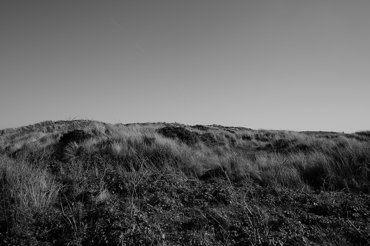 Sand Dunes - Winterton image