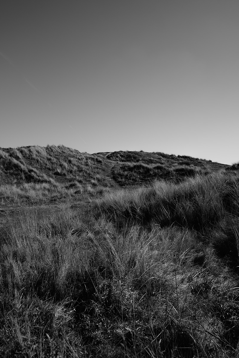 Sand Dunes 2 image