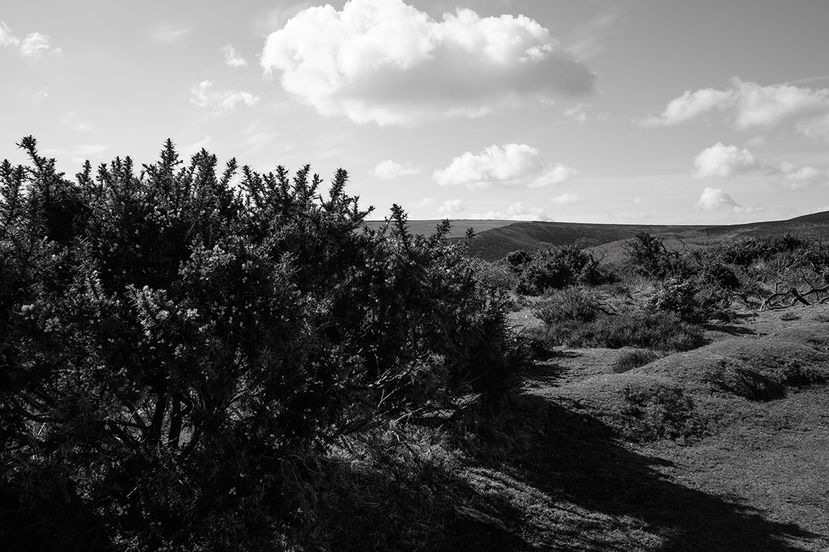The Exmoor Landscape 1 image